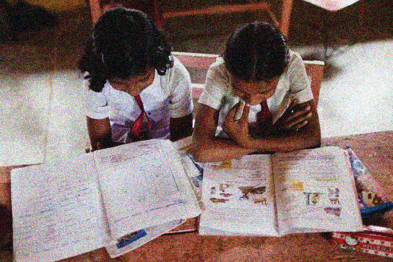 education 260117