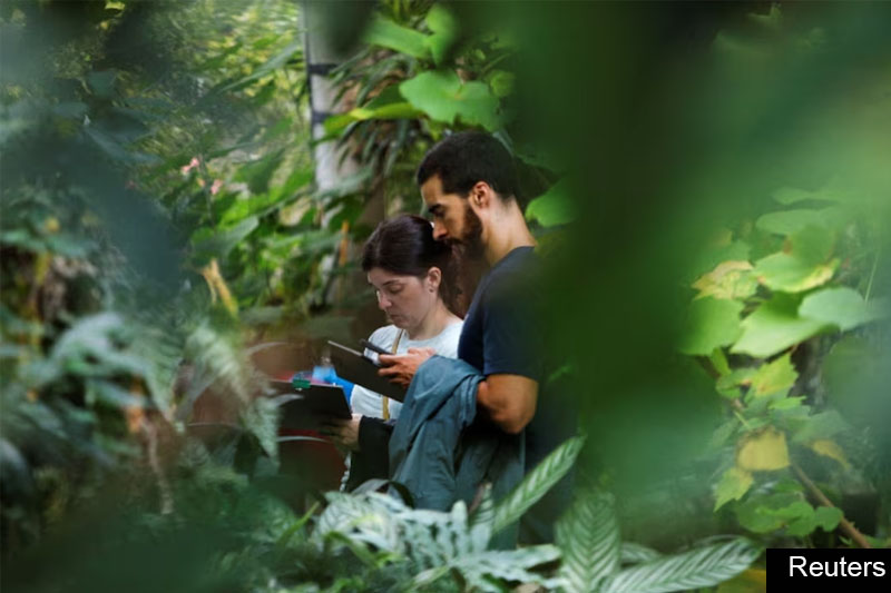 plant 2