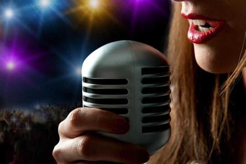 singer 260812