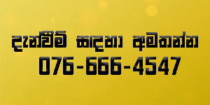 web card 1