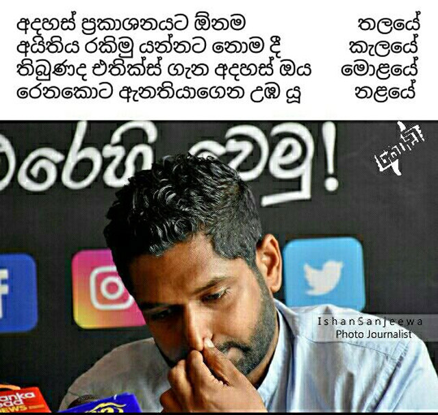 Kodi kavi
