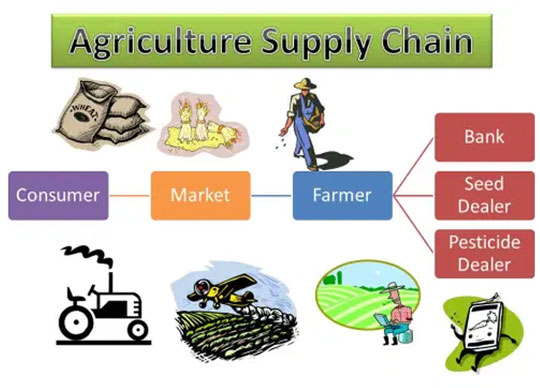 aGRICULTURE supply chain