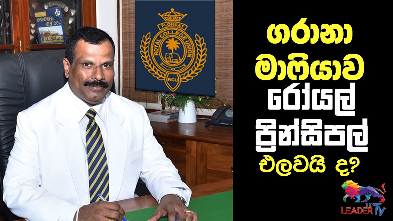  ගරානා මාෆියාව, රෝයල් ප්‍රින්සිපල් එලවයි ද ?