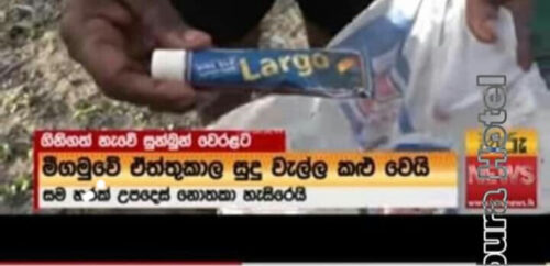 Largo Cream in Negombo Beach 500x242