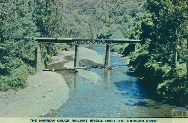 Thomson River Victoria
