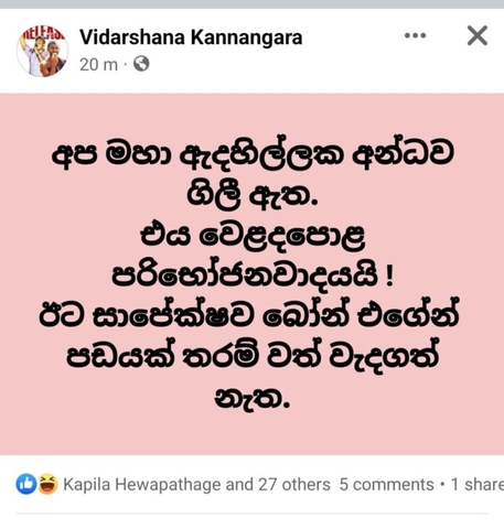 Vidarshana Kannangara 696x731