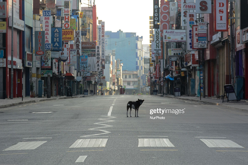 A Dog is seen in empty street seen in near Colombo, Sri Lanka.21.2020The statewide curfew was announced for the entirety of the weekend as a preventative measure against the spread of COVID-19. (Photo by Akila Jayawardana/NurPhoto via Getty Images)